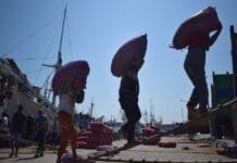 Cegah COVID-19, Pengawasan Pelabuhan Rakyat Paotere Diperketat