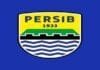 Lima Pemain Kamerun Pernah Membela Persib