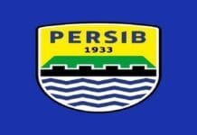 Lima Pemain Kamerun Pernah Membela Persib