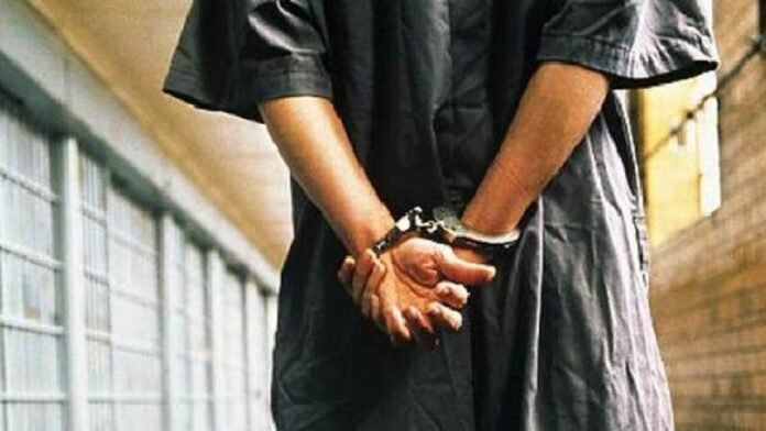 Ilustrasi penangkapan | IST