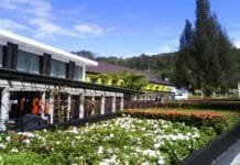 Desain Eropa Minimalis di Mikie Resort