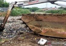 Cegah Sampah, Bekasi Punya Pasukan Kepiting Muara