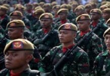 Rancangan Perpres tentang Pelibatan TNI Berantas Terorisme Dinilai Keliru