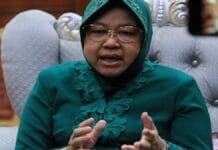 Wali Kota Risma Dipolisikan, 65 Advokat Bersatu Membela