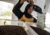 Kementerian Perdagangan Tingkatkan Ekspor Kopi Nusantara