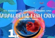 Kontes Ikan Cupang Digelar di Perbatasan Indonesia-Malaysia
