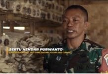 Dari Limbah Gergaji, Babinsa TNI AD Ini Berdayakan Warga Produksi Jamur Tiram