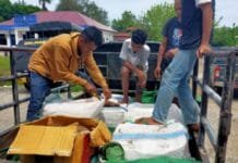 KLHK Sita 300 Kilogram Daging Rusa, Diduga dari Taman Komodo