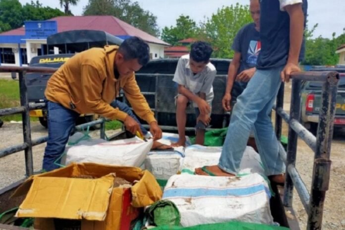 Sebuah mobil pick up yang diamankan saat memuat ratusan kilo gram daging rusa secara ilegal di Labuan Bajo, Kabupaten Manggarai Barat, Nusa Tenggara Timur. ANTARA