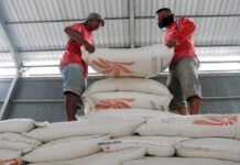 Swasembada Beras, Indonesia Dinilai Layak dapat Penghargaan dari IRRI