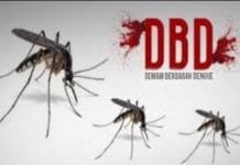 Waspada DBD, FKM UI Tingkatkan Pemahaman Jumantik di Depok