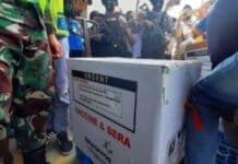 MUI Ingatkan Pemda tak Terburu-buru Gelar Vaksinasi COVID-19