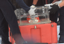 Ditemukan TNI AL, Kotak Hitam Pesawat Sriwijaya Air Diserahkan ke KNKT