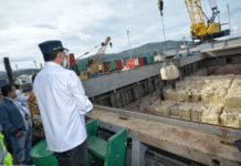 Cek Penerapan Prokes, Menhub Budi Tinjau Pelabuhan Yos Sudarso