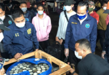 BNN Gagalkan Penyelundupan 450 Kg Ganja di Bogor