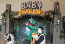 Berikan Pengalaman Edukasi, Dufan Ancol Hadirkan Baby Dinosaurus