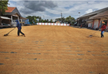 Kinerja Bulog Terkait Pengelolaan Beras Perlu Diaudit