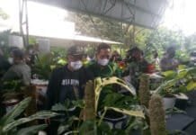Hadiri Kontes Aroid, Walikota Depok Beri Dukungan