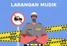 Komite COVID-19 Sebut Larangan Mudik demi Melindungi Kesehatan Masyarakat