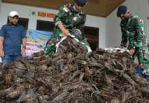 Patroli Laut Gagalkan Penyelundupan 984,6 Kg Vanili Ilegal asal PNG