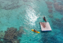 Destinasi Wisata Bogor yang Sedang Viral di 2025, Cocok untuk Liburan Akhir Pekan! Destinasi Wisata. Foto: Istimewa