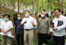 Perpres Insentif untuk Investor-Swasta di Ibu Kota Negara segera Terbit