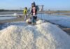 KKP Sebut “Washing Plant” Beri Nilai Tambah bagi Komoditas Garam
