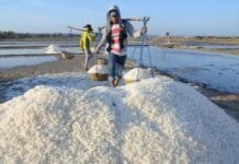 KKP Sebut “Washing Plant” Beri Nilai Tambah bagi Komoditas Garam