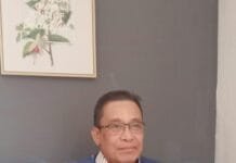 Peringatan Papua Merdeka hanya Ilusi, Papua tetap Provinsi di Indonesia