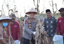 Panen Tanaman Holtikultura, Irjen Iqbal: Saya di Sini Lanjutkan Kinerja Pimpinan Terdahulu