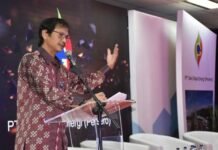 Pemerintah Ajak Pelaku Bisnis Tanam Modal pada Sektor Energi Bersih