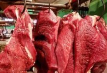 Virus PMK Diklaim tidak Menular, Publik Diimbau Jangan Ragu Konsumsi Daging