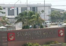 Pejabat Kemendag Kasih ‘Karpet Merah’ Penerbitan Ekspor CPO untuk Sinar Mas-Asian Agri