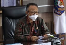 Perlu Strategi Penguatan UMKM demi Wujudkan Indonesia Emas pada 2045