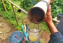 Asal-usul Air Nira Alternatif Pelepas Dahaga dan Sederet Manfaatnya Air Nira