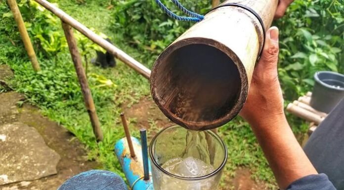 Asal-usul Air Nira Alternatif Pelepas Dahaga dan Sederet Manfaatnya Air Nira