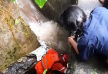 Hilang Terseret Arus Air, Mahasiswi IPB University Tak Kunjung Ditemukan mahasiswi IPB University