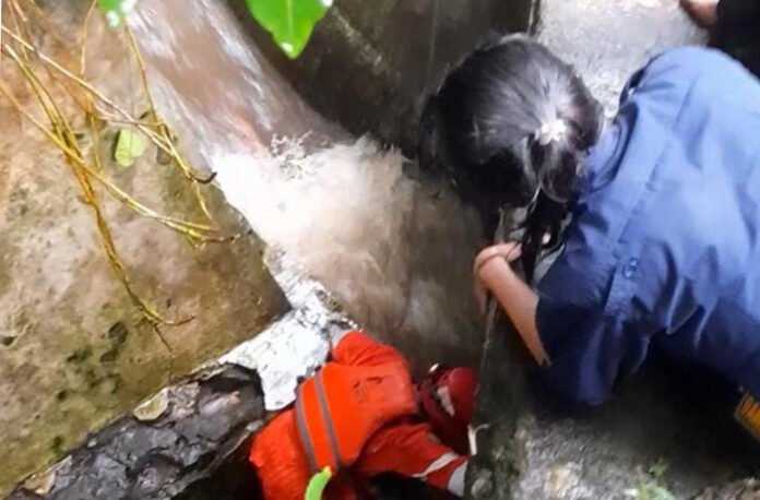 mahasiswi IPB University