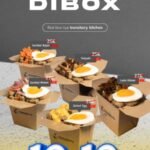 DIBOX 10.10
