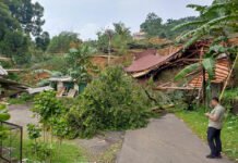 14 Rumah dan Fasum di Gunung Geulis Terdampak Longsor, 48 Jiwa Mengungsi 14 rumah