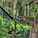 5 rekomendasi tempat wisata