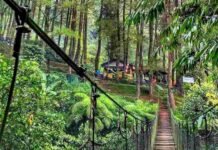 5 Rekomendasi Tempat Wisata di Bogor yang Wajib Dikunjungi 5 rekomendasi tempat wisata