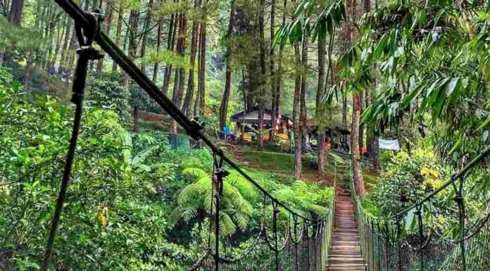 5 Rekomendasi Tempat Wisata di Bogor yang Wajib Dikunjungi 5 rekomendasi tempat wisata
