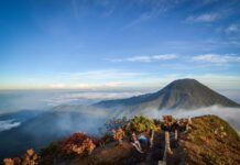 Pilihan Destinasi Sejuk dan Tenang Jauh dari Kemacetan Saat Libur Tahun Baru Taman Nasional Gunung Gede Pangrango. Foto: Istimewa