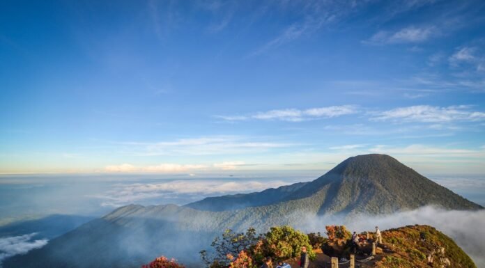 Pilihan Destinasi Sejuk dan Tenang Jauh dari Kemacetan Saat Libur Tahun Baru Taman Nasional Gunung Gede Pangrango. Foto: Istimewa
