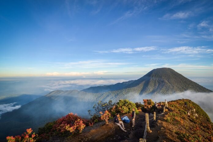 Taman Nasional Gunung Gede Pangrango. Foto: Istimewa