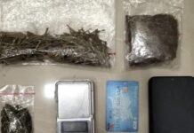 Polisi Gerebek Sebuah Kontrakan di Bogor, Narkotika Jenis Ganja Disita