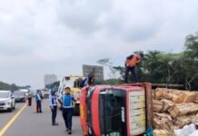 Pecah Ban, Satu Unit Truk Terbalik di Tol Jagorawi Satu Unit Truk