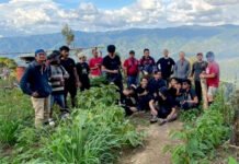 Ladang Ganja 11 Hektar di Sumut di Gerebek Polisi