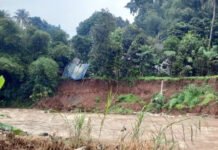 Tebingan Cisadane di Ciadeg Makin Terkikis